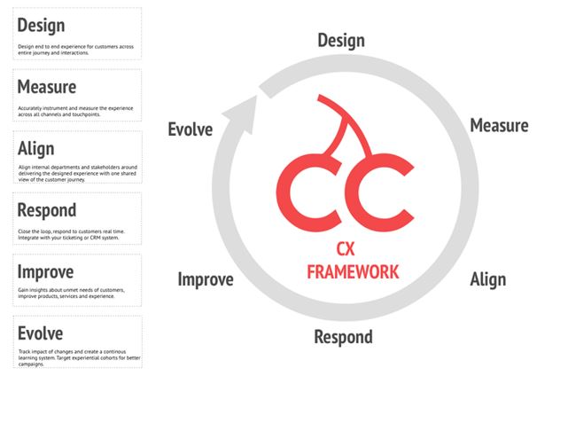framework customer centricity